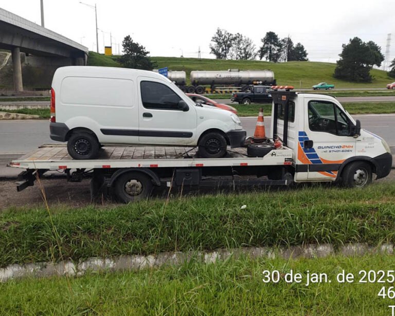 fenix-guincho-curitiba-uberaba-cajuru-sjp-sitio-cercado-4-768x615