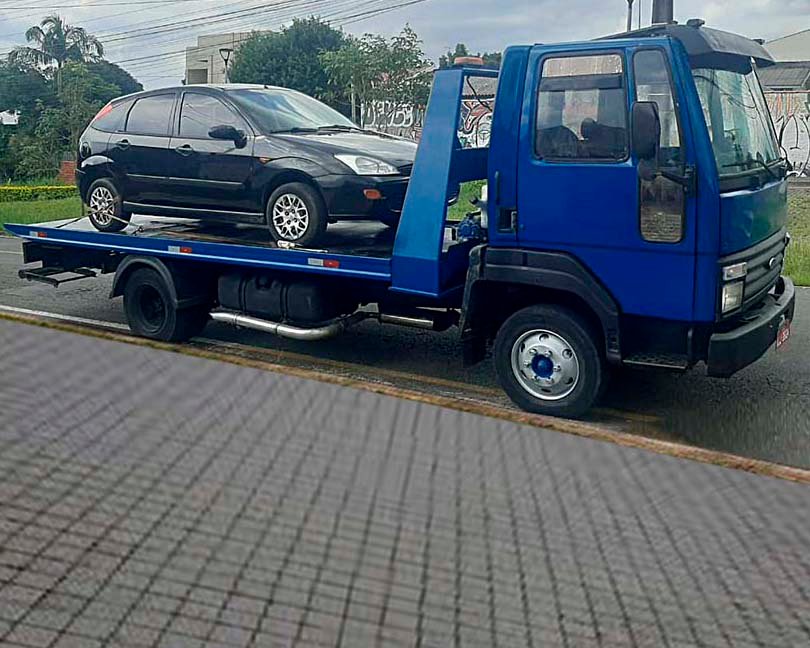 guinchos-pauluk-araucaria-lopa-contenda