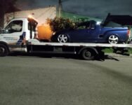 fenix-guincho-curitiba-uberaba-cajuru-sjp-sitio-cercado-5-768x614